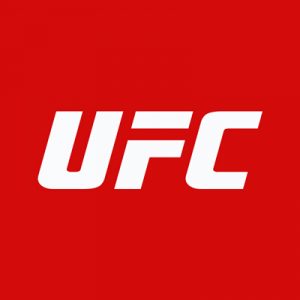 UFC MMA matchups ultimate fighting championship